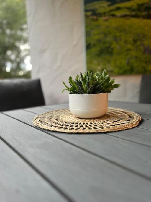 Ferienappartement Schwarzwaldeck In Todtnauberg Esterno foto